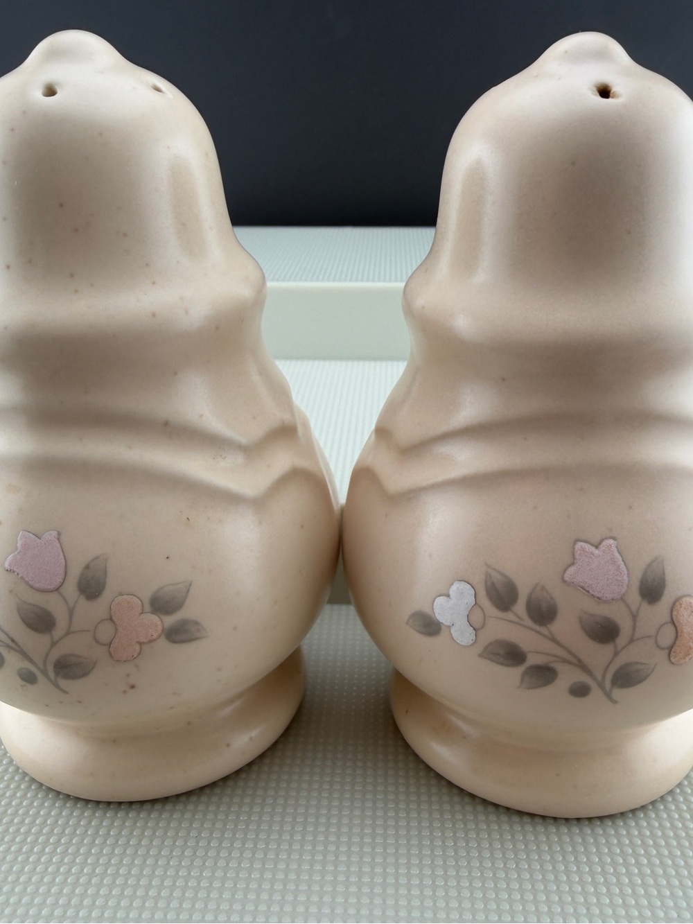 Vintage Pfaltzgraff  Remembrance Salt and Pepper Shaker Set With Plastic Stopper